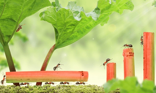Developing your sales teams - five questions you should be asking